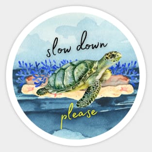 slow down please - turtle Sticker